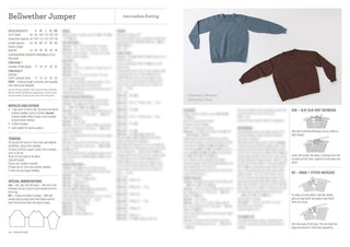 Bellwether Jumper Pattern 1025