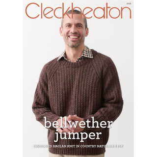 Bellwether Jumper Pattern 1025
