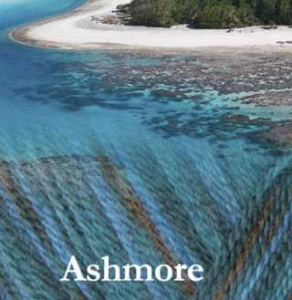 White Gum Wool 10 Ply