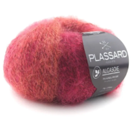 Algasoie