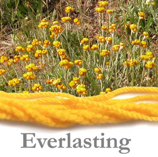 White Gum Wool 10 Ply