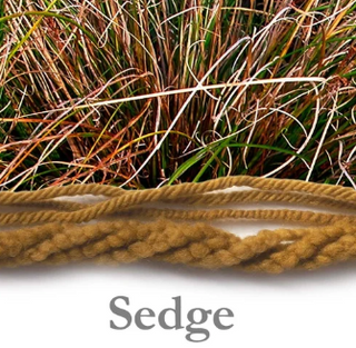 White Gum Wool 10 Ply