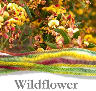 White Gum Wool 10 Ply