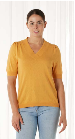 Puff Short Sleeve Vee Neck Pullover